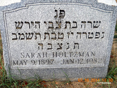 Sarah Holtzman