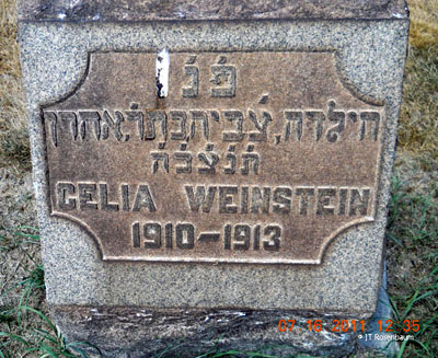 Celia Weinstein