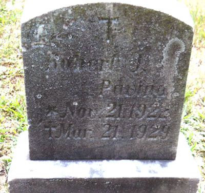 Robert J. Pavina