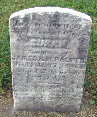 Susan Palmer